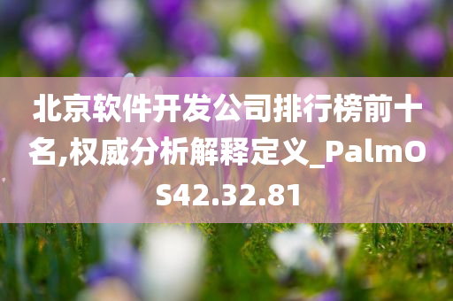 北京软件开发公司排行榜前十名,权威分析解释定义_PalmOS42.32.81