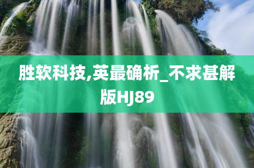 胜软科技,英最确析_不求甚解版HJ89