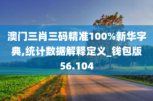 澳门三肖三码精准100%新华字典,统计数据解释定义_钱包版56.104