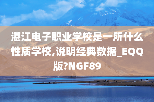 湛江电子职业学校是一所什么性质学校,说明经典数据_EQQ版?NGF89