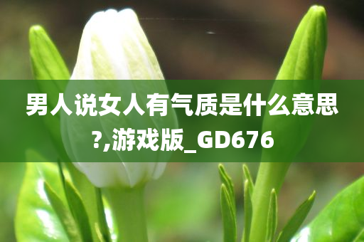 男人说女人有气质是什么意思?,游戏版_GD676