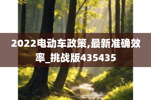 2022电动车政策,最新准确效率_挑战版435435