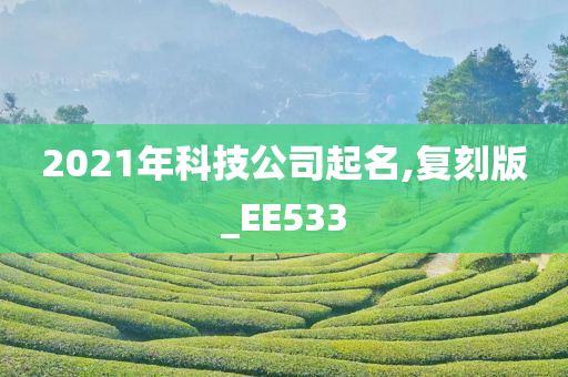 2021年科技公司起名,复刻版_EE533