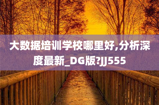 大数据培训学校哪里好,分析深度最新_DG版?JJ555