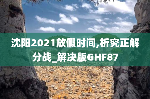 沈阳2021放假时间,析究正解分战_解决版GHF87