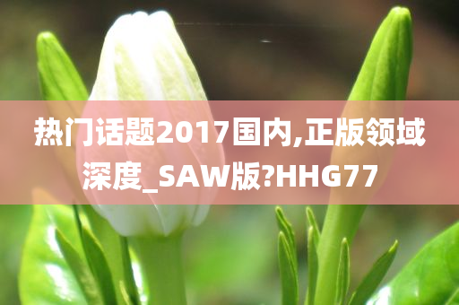 热门话题2017国内,正版领域深度_SAW版?HHG77