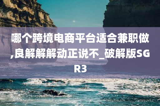 哪个跨境电商平台适合兼职做,良解解解动正说不_破解版SGR3