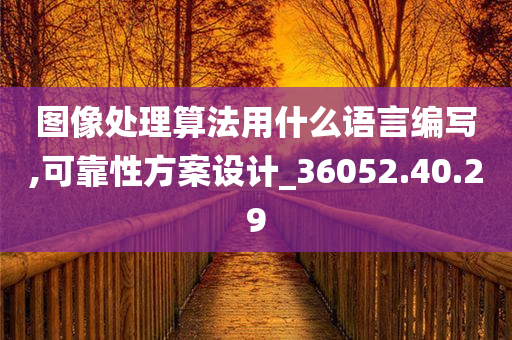 图像处理算法用什么语言编写,可靠性方案设计_36052.40.29