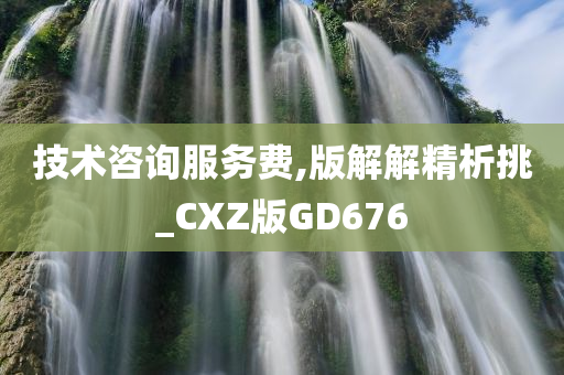 技术咨询服务费,版解解精析挑_CXZ版GD676