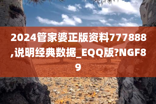 2024管家婆正版资料777888,说明经典数据_EQQ版?NGF89