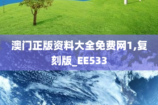 澳门正版资料大全免费网1,复刻版_EE533