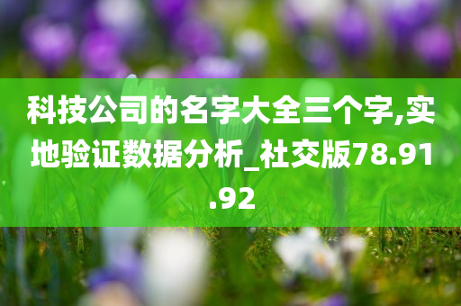 科技公司的名字大全三个字,实地验证数据分析_社交版78.91.92