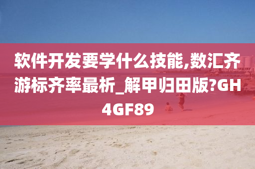 软件开发要学什么技能,数汇齐游标齐率最析_解甲归田版?GH4GF89