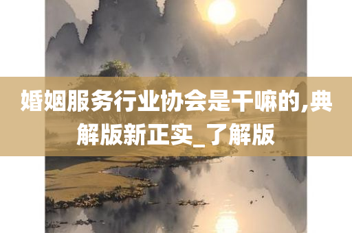 婚姻服务行业协会是干嘛的,典解版新正实_了解版