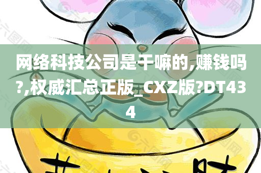 网络科技公司是干嘛的,赚钱吗?,权威汇总正版_CXZ版?DT434