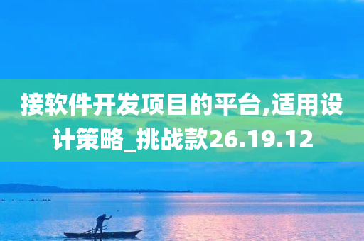 接软件开发项目的平台,适用设计策略_挑战款26.19.12