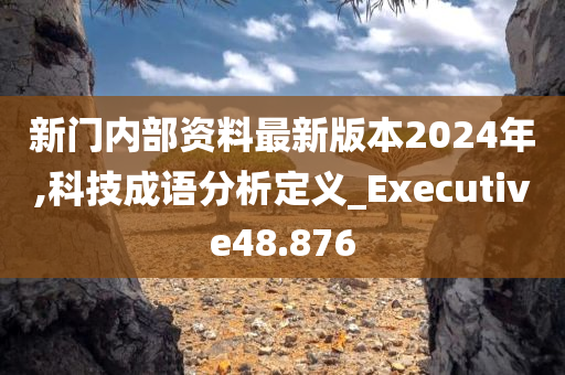 新门内部资料最新版本2024年,科技成语分析定义_Executive48.876