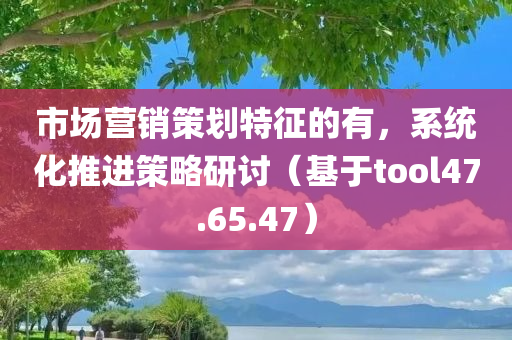 市场营销策划特征的有，系统化推进策略研讨（基于tool47.65.47）