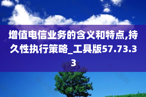 增值电信业务的含义和特点,持久性执行策略_工具版57.73.33