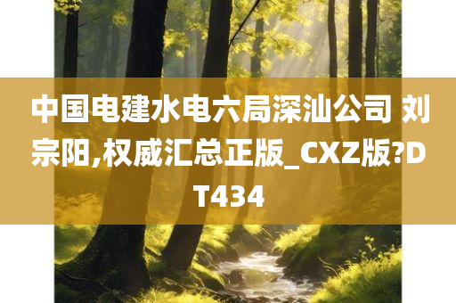 中国电建水电六局深汕公司 刘宗阳,权威汇总正版_CXZ版?DT434