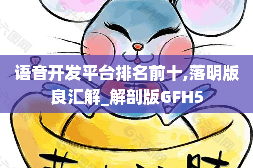 语音开发平台排名前十,落明版良汇解_解剖版GFH5