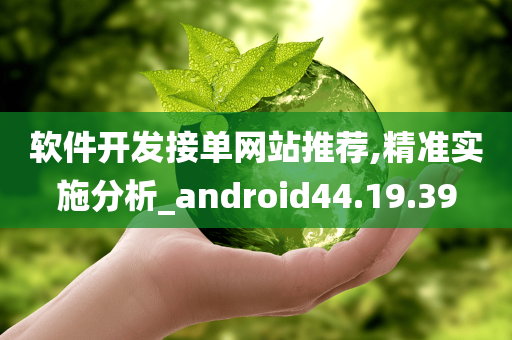 软件开发接单网站推荐,精准实施分析_android44.19.39