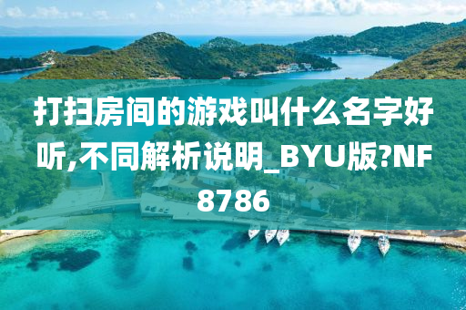 打扫房间的游戏叫什么名字好听,不同解析说明_BYU版?NF8786