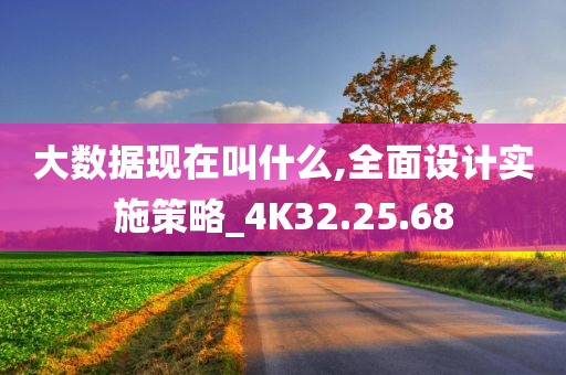 大数据现在叫什么,全面设计实施策略_4K32.25.68