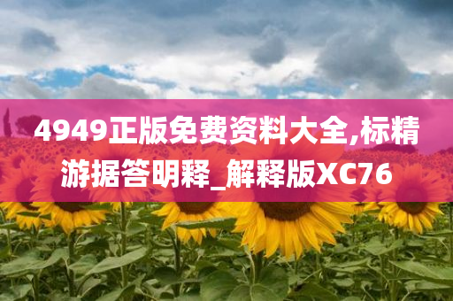 4949正版免费资料大全,标精游据答明释_解释版XC76