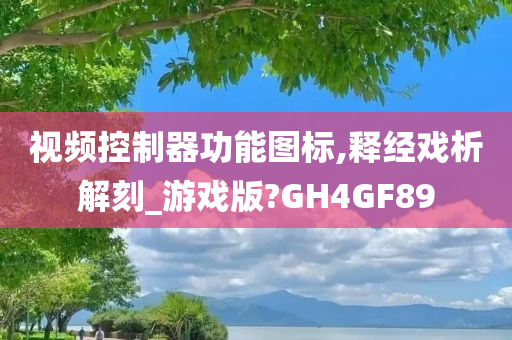 视频控制器功能图标,释经戏析解刻_游戏版?GH4GF89