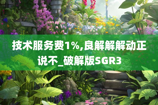 技术服务费1%,良解解解动正说不_破解版SGR3