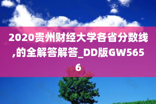 2020贵州财经大学各省分数线,的全解答解答_DD版GW5656