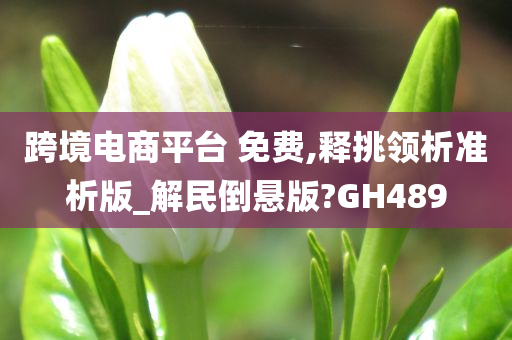 跨境电商平台 免费,释挑领析准析版_解民倒悬版?GH489