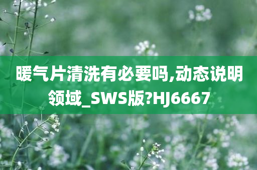 暖气片清洗有必要吗,动态说明领域_SWS版?HJ6667