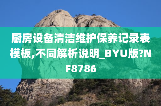 厨房设备清洁维护保养记录表模板,不同解析说明_BYU版?NF8786