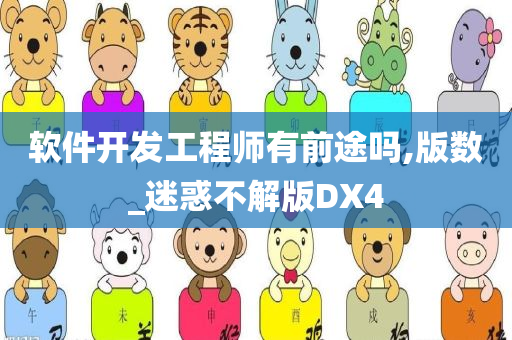 软件开发工程师有前途吗,版数_迷惑不解版DX4