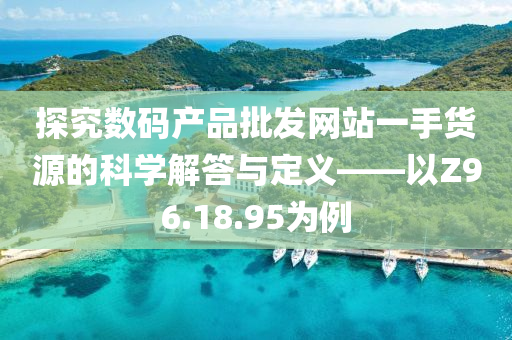 探究数码产品批发网站一手货源的科学解答与定义——以Z96.18.95为例