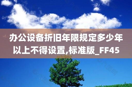 办公设备折旧年限规定多少年以上不得设置,标准版_FF45