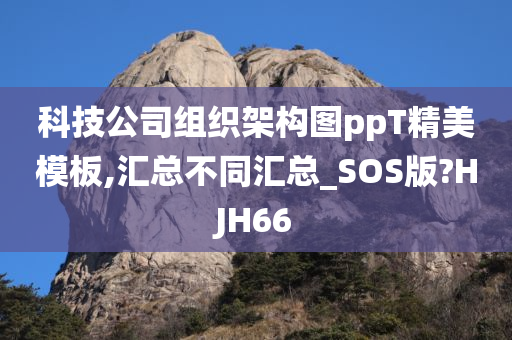 科技公司组织架构图ppT精美模板,汇总不同汇总_SOS版?HJH66