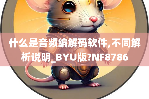 什么是音频编解码软件,不同解析说明_BYU版?NF8786