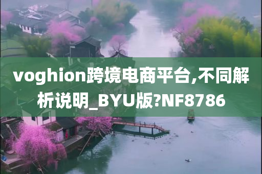 voghion跨境电商平台,不同解析说明_BYU版?NF8786