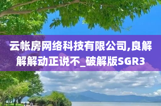 云帐房网络科技有限公司,良解解解动正说不_破解版SGR3