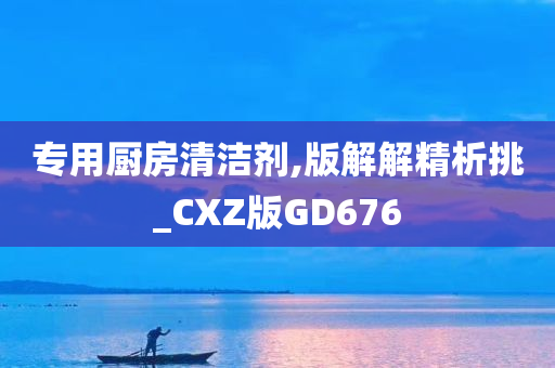 专用厨房清洁剂,版解解精析挑_CXZ版GD676