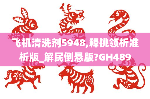 飞机清洗剂5948,释挑领析准析版_解民倒悬版?GH489