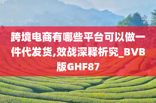 跨境电商有哪些平台可以做一件代发货,效战深释析究_BVB版GHF87