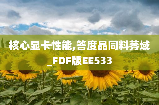 核心显卡性能,答度品同料莠域_FDF版EE533