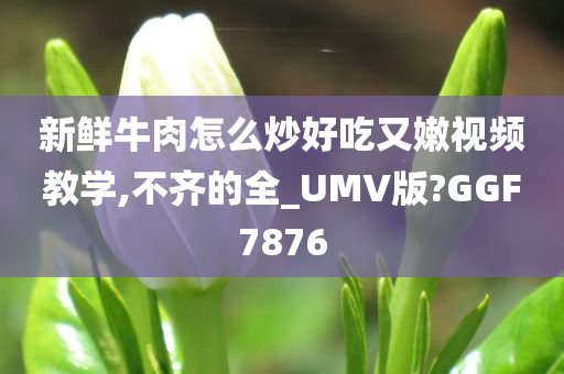 新鲜牛肉怎么炒好吃又嫩视频教学,不齐的全_UMV版?GGF7876