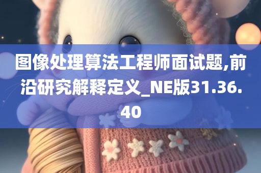 图像处理算法工程师面试题,前沿研究解释定义_NE版31.36.40