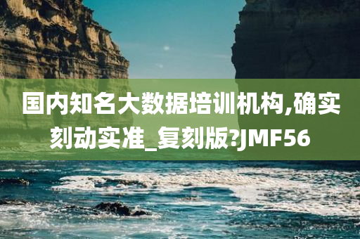 国内知名大数据培训机构,确实刻动实准_复刻版?JMF56