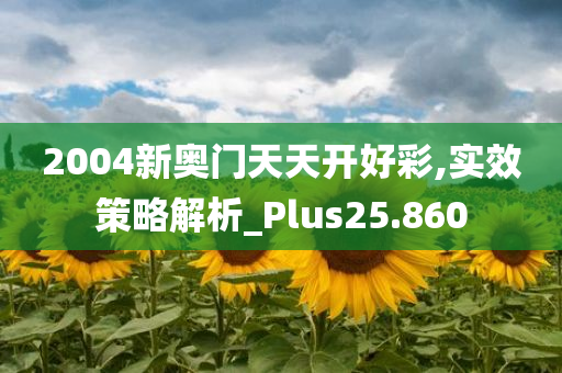 2004新奥门天天开好彩,实效策略解析_Plus25.860